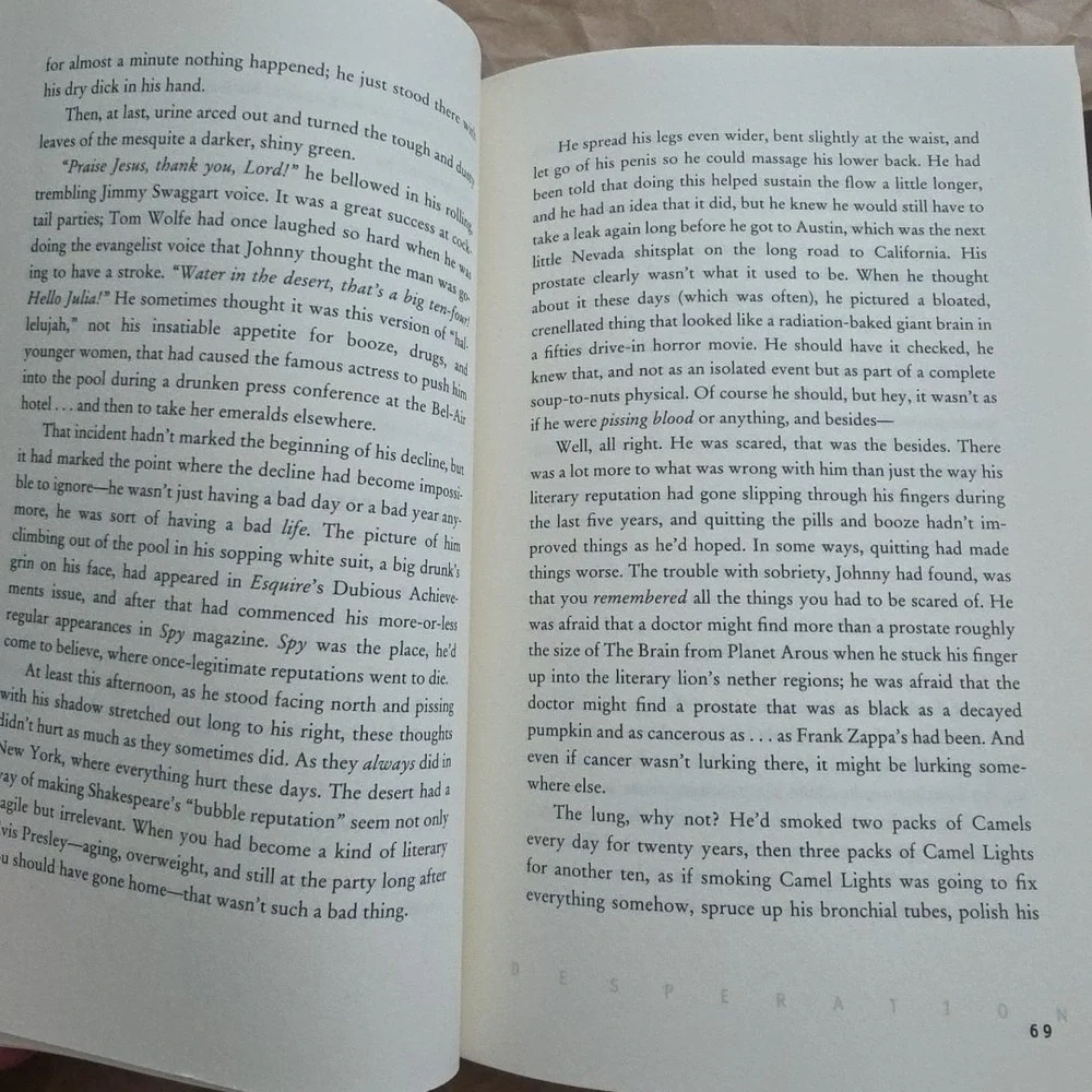 Desperation‎ : Roman by Stephen King (1996, Hardcover)
